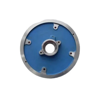 Qualität Kohlenstoffstahl Wcb-Pumpenhülle für ANDRITZ ACP100-265 Fabrik