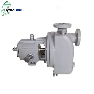 Qualità GOULDS 3196 Pompa centrifuga industriale a filo nudo in acciaio inox fabbrica