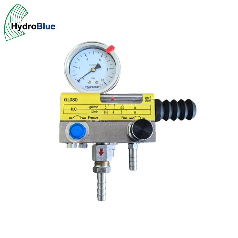 SAFEMATIC SWE-GLS Industrial Flow and Pressure Monitoring Equipment with Integrated Control Valves